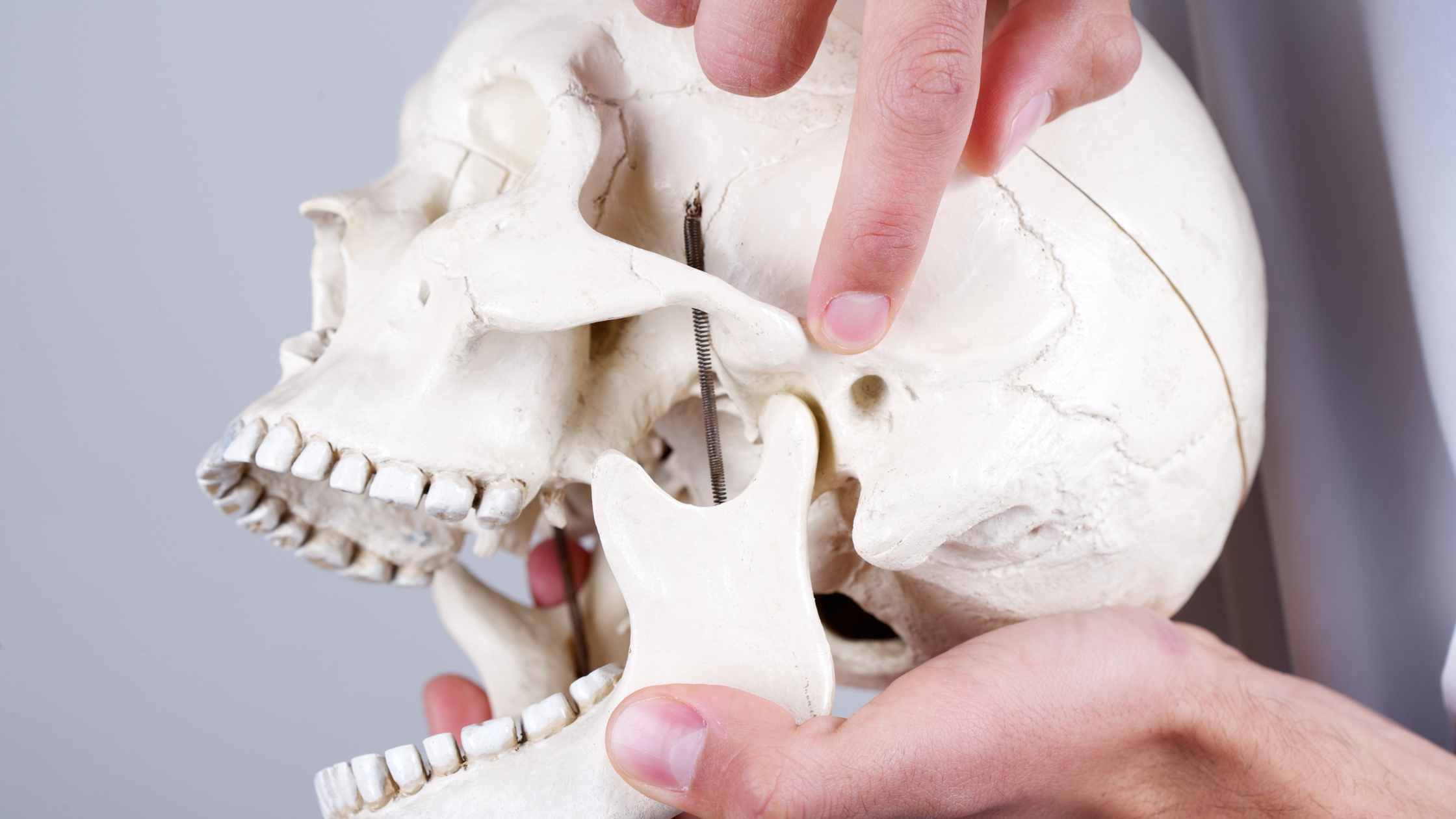 Kiefergelenk osteopathisch behandeln